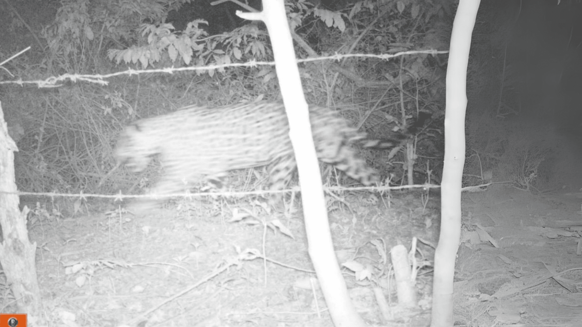 Biodiversity Image 3