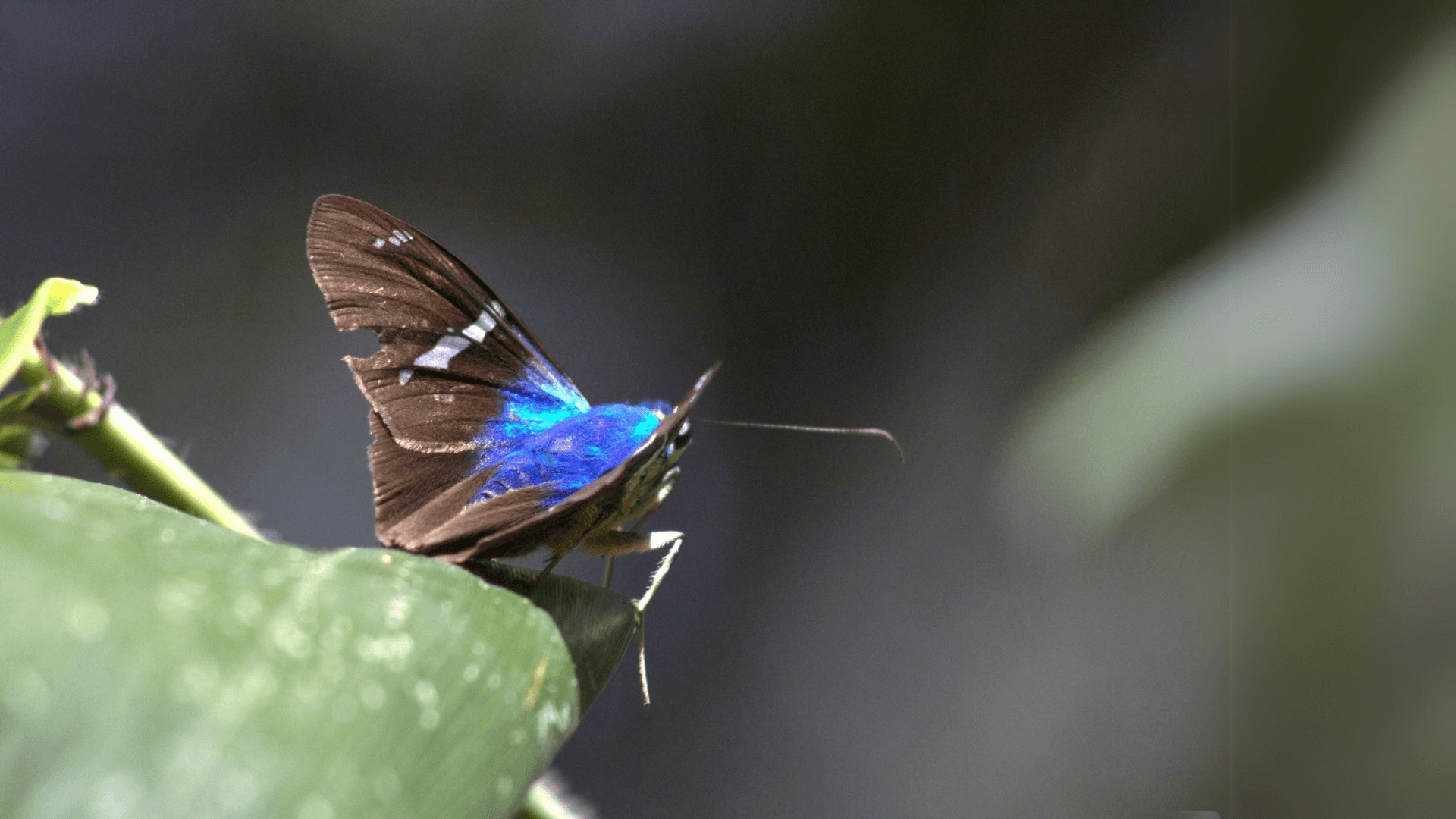 Biodiversity Image 9